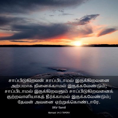 Picture 03 - ரோமர் 14:3 TAMIRV - சாப்பிடுகிறவன் - Bible Verse Picture