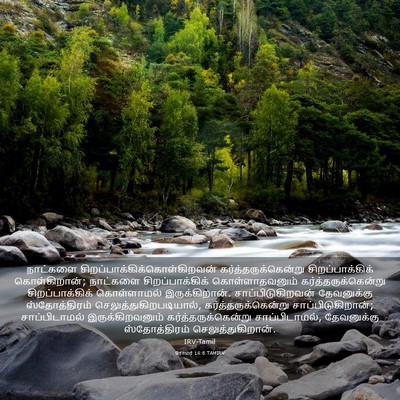 Picture 03 - ரோமர் 14:6 TAMIRV - நாட்களை - Bible Verse Picture