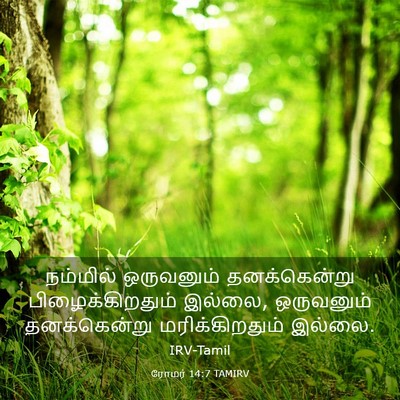 Picture 03 - ரோமர் 14:7 TAMIRV - நம்மில் ஒருவனும் - Bible Verse Picture