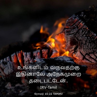 Picture 03 - ரோமர் 15:22 TAMIRV - உங்களிடம் - Bible Verse Picture