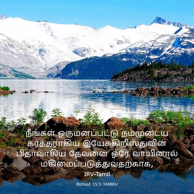 Picture 03 - ரோமர் 15:5 TAMIRV - நீங்கள் - Bible Verse Picture