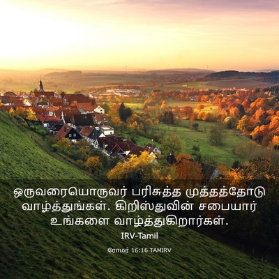 Picture 03 - ரோமர் 16:16 TAMIRV - ஒருவரையொருவர் - Bible Verse Picture