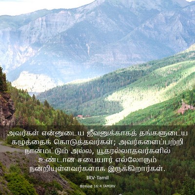 Picture 03 - ரோமர் 16:4 TAMIRV - அவர்கள் என்னுடைய - Bible Verse Picture