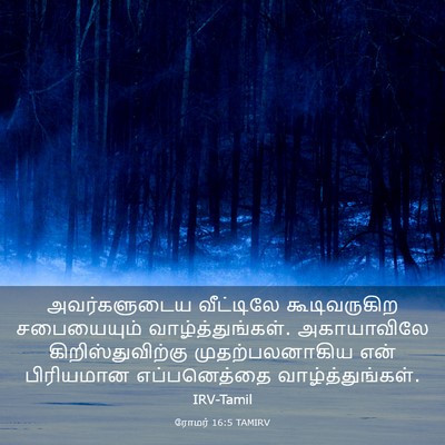 Picture 03 - ரோமர் 16:5 TAMIRV - அவர்களுடைய - Bible Verse Picture