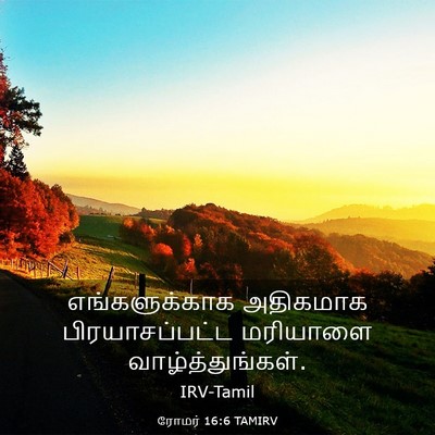Picture 03 - ரோமர் 16:6 TAMIRV - எங்களுக்காக - Bible Verse Picture