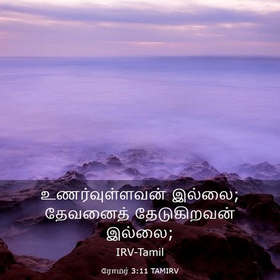 Picture 03 - ரோமர் 3:11 TAMIRV - உணர்வுள்ளவன் - Bible Verse Picture