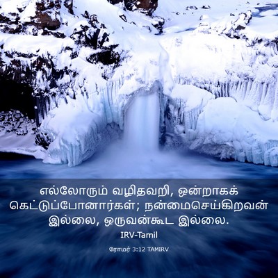 Picture 03 - ரோமர் 3:12 TAMIRV - எல்லோரும் - Bible Verse Picture