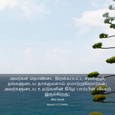 Picture 03 - ரோமர் 3:13 TAMIRV - அவர்கள் தொண்டை - Bible Verse Picture
