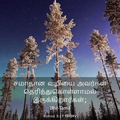 Picture 03 - ரோமர் 3:17 TAMIRV - சமாதான வழியை - Bible Verse Picture