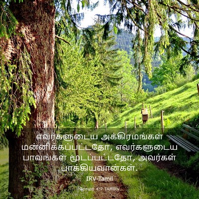 Picture 03 - ரோமர் 4:7 TAMIRV - எவர்களுடைய - Bible Verse Picture