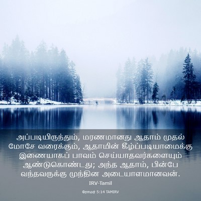Picture 03 - ரோமர் 5:14 TAMIRV - அப்படியிருந்தும், - Bible Verse Picture