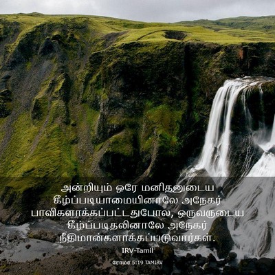 Picture 03 - ரோமர் 5:19 TAMIRV - அன்றியும் ஒரே - Bible Verse Picture