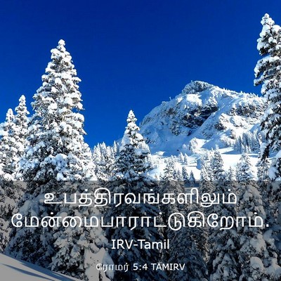 Picture 03 - ரோமர் 5:4 TAMIRV -  - Bible Verse Picture