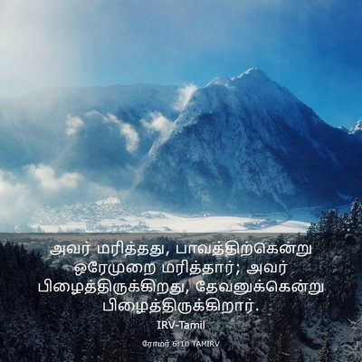 Picture 03 - ரோமர் 6:10 TAMIRV - அவர் மரித்தது, - Bible Verse Picture