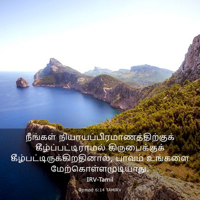 Picture 03 - ரோமர் 6:14 TAMIRV - நீங்கள் - Bible Verse Picture