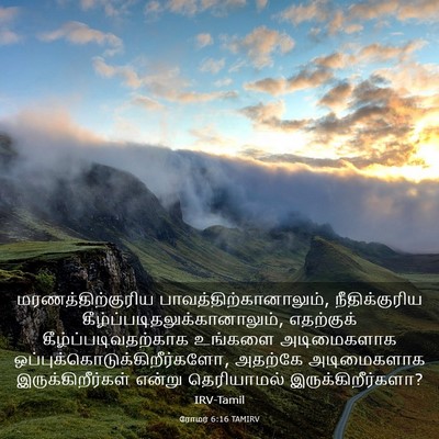 Picture 03 - ரோமர் 6:16 TAMIRV - மரணத்திற்குரிய - Bible Verse Picture