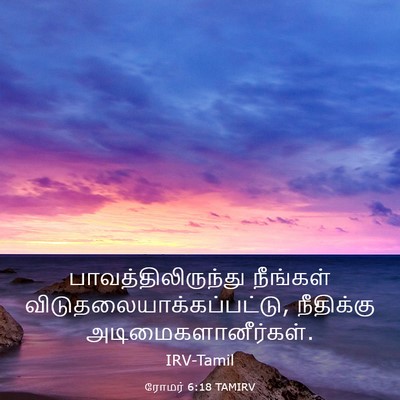Picture 03 - ரோமர் 6:18 TAMIRV - பாவத்திலிருந்து - Bible Verse Picture