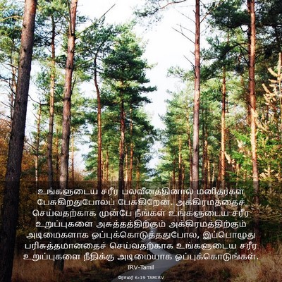 Picture 03 - ரோமர் 6:19 TAMIRV - உங்களுடைய சரீர - Bible Verse Picture