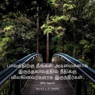 Picture 03 - ரோமர் 6:20 TAMIRV - பாவத்திற்கு - Bible Verse Picture