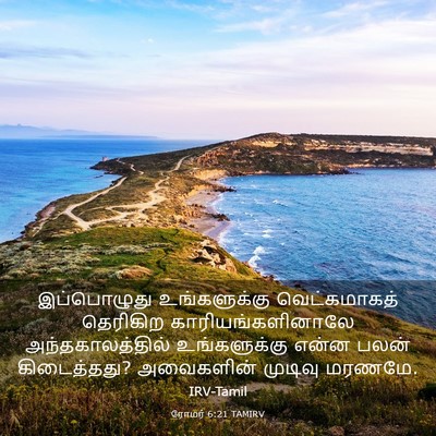 Picture 03 - ரோமர் 6:21 TAMIRV - இப்பொழுது - Bible Verse Picture