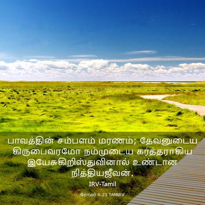 Picture 03 - ரோமர் 6:23 TAMIRV - பாவத்தின் சம்பளம் - Bible Verse Picture