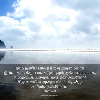 Picture 03 - ரோமர் 6:6 TAMIRV - நாம் இனிப் - Bible Verse Picture