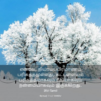 Picture 03 - ரோமர் 7:12 TAMIRV - எனவே, - Bible Verse Picture