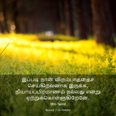 Picture 03 - ரோமர் 7:16 TAMIRV - இப்படி நான் - Bible Verse Picture