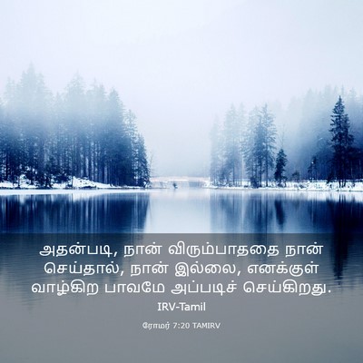 Picture 03 - ரோமர் 7:20 TAMIRV - அதன்படி, நான் - Bible Verse Picture