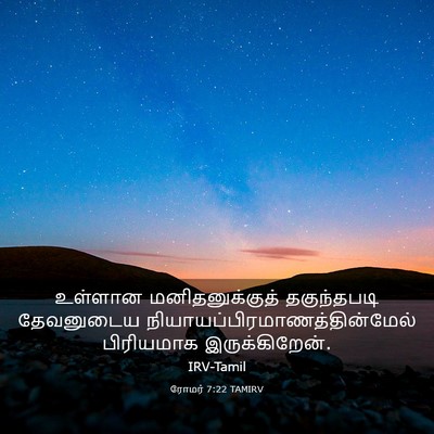 Picture 03 - ரோமர் 7:22 TAMIRV - உள்ளான - Bible Verse Picture