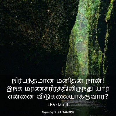 Picture 03 - ரோமர் 7:24 TAMIRV - நிர்பந்தமான - Bible Verse Picture