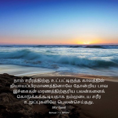 Picture 03 - ரோமர் 7:5 TAMIRV - நாம் சரீரத்திற்கு - Bible Verse Picture