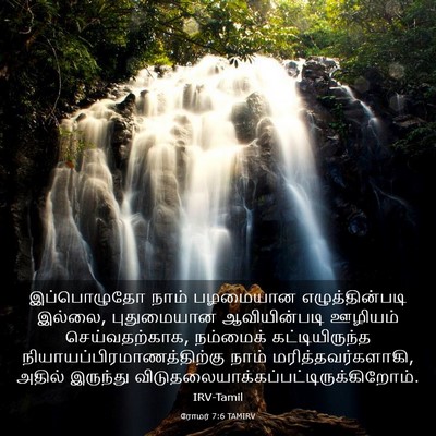Picture 03 - ரோமர் 7:6 TAMIRV - இப்பொழுதோ நாம் - Bible Verse Picture