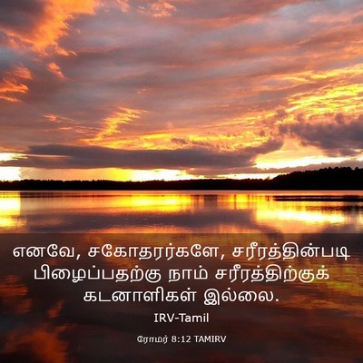 Picture 03 - ரோமர் 8:12 TAMIRV - எனவே, சகோதரர்களே, - Bible Verse Picture