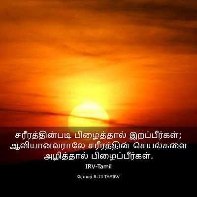Picture 03 - ரோமர் 8:13 TAMIRV - சரீரத்தின்படி - Bible Verse Picture
