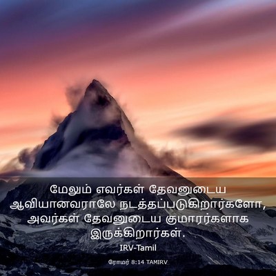 Picture 03 - ரோமர் 8:14 TAMIRV - மேலும் எவர்கள் - Bible Verse Picture