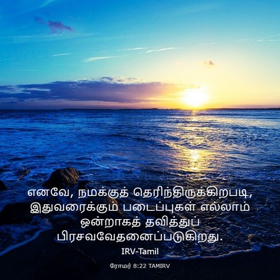 Picture 03 - ரோமர் 8:22 TAMIRV - எனவே, நமக்குத் - Bible Verse Picture