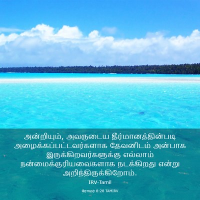 Picture 03 - ரோமர் 8:28 TAMIRV - அன்றியும், - Bible Verse Picture