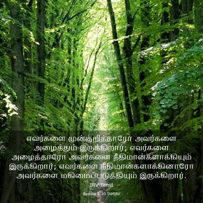 Picture 03 - ரோமர் 8:30 TAMIRV - எவர்களை - Bible Verse Picture