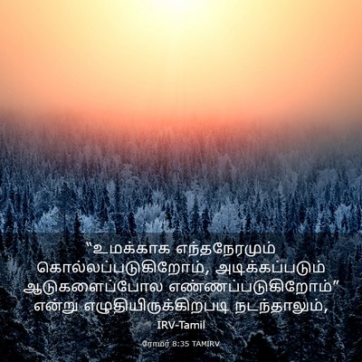 Picture 03 - ரோமர் 8:35 TAMIRV - “உமக்காக - Bible Verse Picture