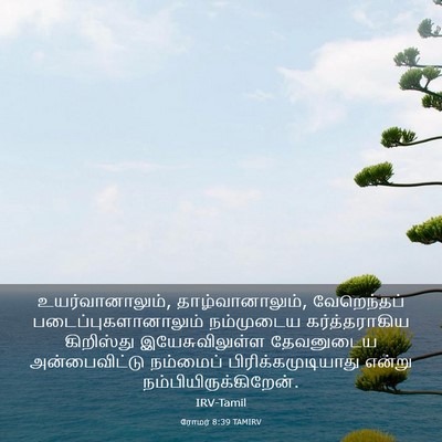 Picture 03 - ரோமர் 8:39 TAMIRV - உயர்வானாலும், - Bible Verse Picture