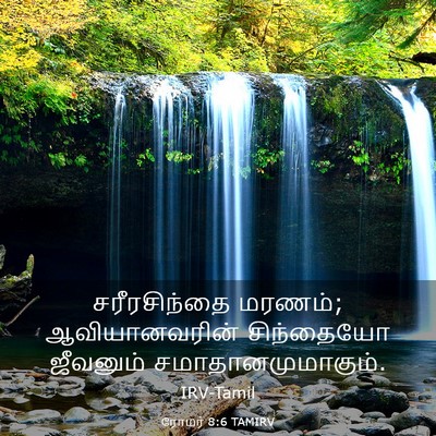 Picture 03 - ரோமர் 8:6 TAMIRV - சரீரசிந்தை மரணம்; - Bible Verse Picture