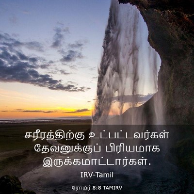 Picture 03 - ரோமர் 8:8 TAMIRV - சரீரத்திற்கு - Bible Verse Picture