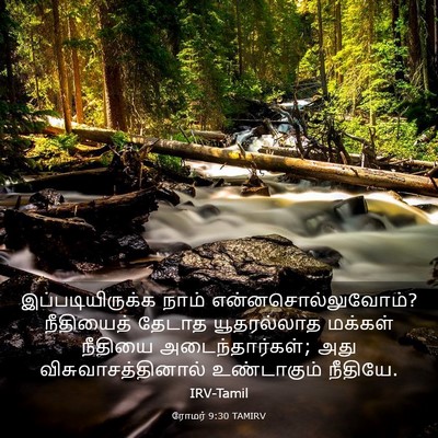 Picture 03 - ரோமர் 9:30 TAMIRV - இப்படியிருக்க - Bible Verse Picture