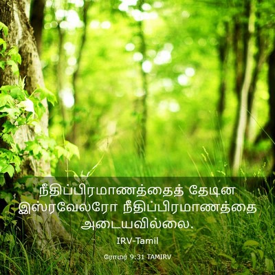 Picture 03 - ரோமர் 9:31 TAMIRV -  - Bible Verse Picture