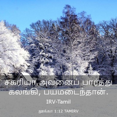 Picture 03 - லூக்கா 1:12 TAMIRV - சகரியா அவனைப் - Bible Verse Picture