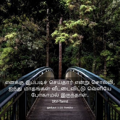 Picture 03 - லூக்கா 1:25 TAMIRV - எனக்கு இப்படிச் - Bible Verse Picture