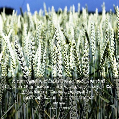 Picture 03 - லூக்கா 1:28 TAMIRV - அவள் இருந்த - Bible Verse Picture