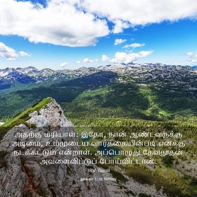 Picture 03 - லூக்கா 1:38 TAMIRV - அதற்கு மரியாள்: - Bible Verse Picture