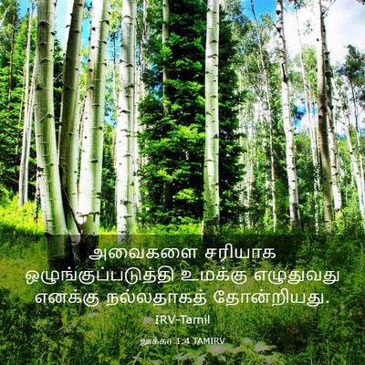 Picture 03 - லூக்கா 1:4 TAMIRV - அவைகளை சரியாக - Bible Verse Picture